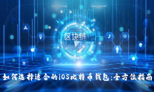 如何选择适合的iOS比特币钱包：全方位指南
